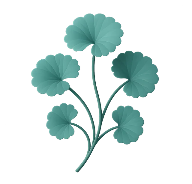 Ilustración de centella asiática, ingrediente de Variste